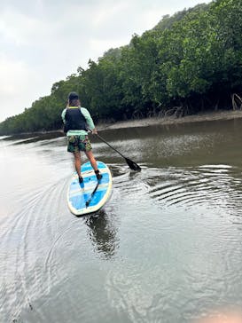 西表島 ADVENTURE PiPi（アドベンチャーピピ）に投稿された画像（2023/11/24）