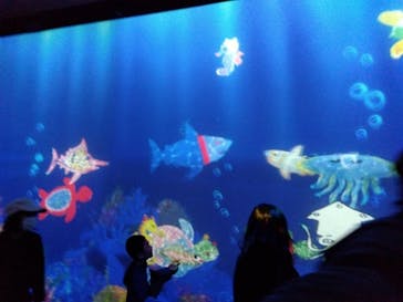 チームラボに投稿された画像（2023/11/24）