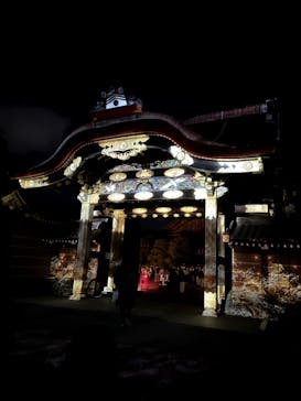 NAKED meets 二条城 2025 観月に投稿された画像（2023/11/24）