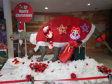 福井県立恐竜博物館に投稿された画像（2023/11/24）