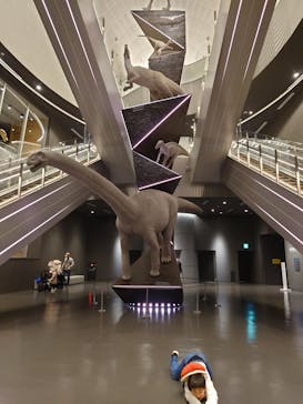 福井県立恐竜博物館に投稿された画像（2023/11/24）