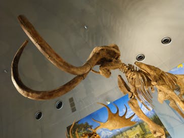 福井県立恐竜博物館に投稿された画像（2023/11/24）