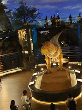 福井県立恐竜博物館に投稿された画像（2023/11/24）