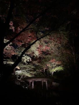 六義園に投稿された画像（2023/11/24）