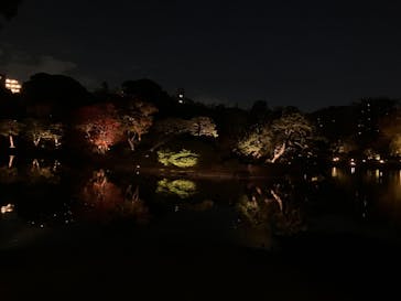 六義園に投稿された画像（2023/11/24）
