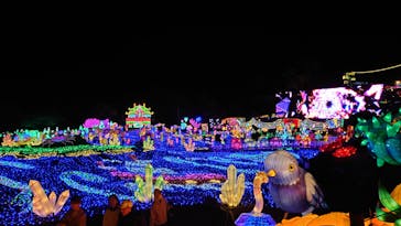 伊豆ぐらんぱる公園に投稿された画像（2023/11/24）