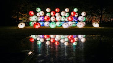 国営昭和記念公園 秋の夜散歩に投稿された画像（2023/11/24）