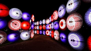 国営昭和記念公園 秋の夜散歩に投稿された画像（2023/11/24）