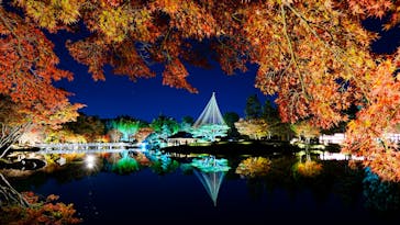 国営昭和記念公園 秋の夜散歩に投稿された画像（2023/11/24）