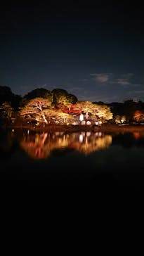 六義園に投稿された画像（2023/11/24）