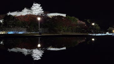 姫路城（イベント）に投稿された画像（2023/11/24）