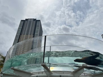 サンシャイン水族館に投稿された画像（2023/11/24）