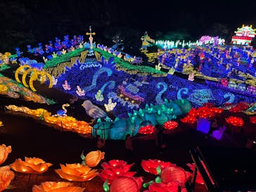 伊豆ぐらんぱる公園に投稿された画像（2023/11/24）