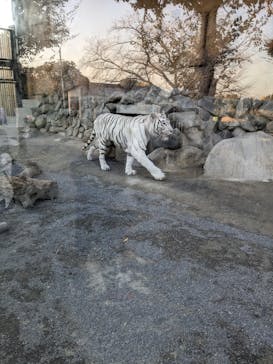 東武動物公園に投稿された画像（2023/11/24）