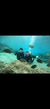 武藤潜水に投稿された画像（2023/11/25）