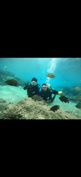 武藤潜水に投稿された画像（2023/11/25）