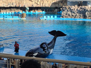 名古屋港水族館に投稿された画像（2023/11/25）