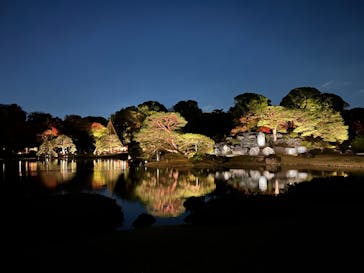 六義園に投稿された画像（2023/11/25）