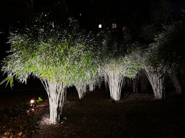 六義園に投稿された画像（2023/11/25）