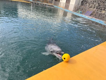 越前松島水族館に投稿された画像（2023/11/25）