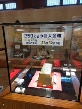 土肥金山に投稿された画像（2023/11/25）