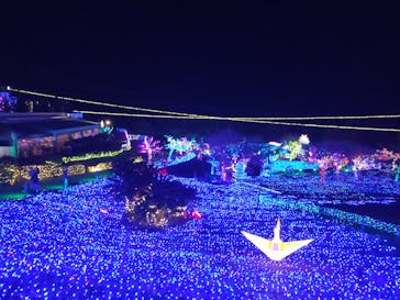 伊豆ぐらんぱる公園に投稿された画像（2023/11/25）