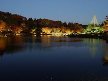 国営昭和記念公園 秋の夜散歩に投稿された画像（2023/11/25）