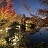 国営昭和記念公園 秋の夜散歩に投稿された画像（2023/11/25）