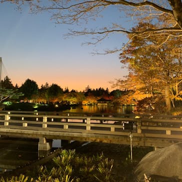 国営昭和記念公園 秋の夜散歩に投稿された画像（2023/11/25）