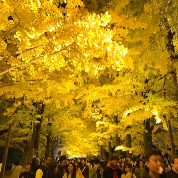 国営昭和記念公園 秋の夜散歩に投稿された画像（2023/11/25）