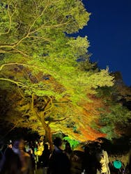 木梨憲武展　Timing ー瞬間の光りー（上野の森美術館）に投稿された画像（2023/11/25）