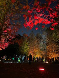 木梨憲武展　Timing ー瞬間の光りー（上野の森美術館）に投稿された画像（2023/11/25）
