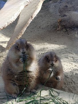名古屋市東山動植物園に投稿された画像（2023/11/25）