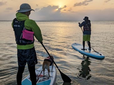 石垣島波商店に投稿された画像（2023/11/25）