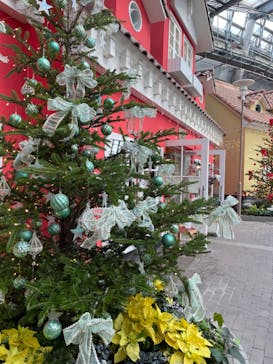 安城産業文化公園デンパークに投稿された画像（2023/11/25）