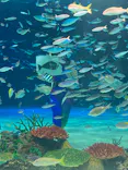 サンシャイン水族館に投稿された画像（2023/11/25）