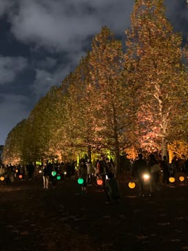 NAKED 紅葉の新宿御苑2023に投稿された画像（2023/11/25）