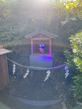 西武園ゆうえんちに投稿された画像（2023/11/25）