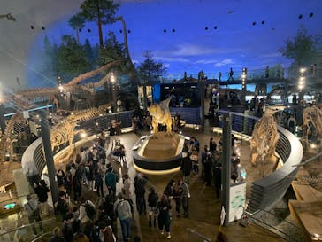 福井県立恐竜博物館に投稿された画像（2023/11/25）