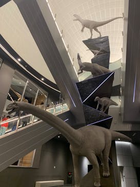 福井県立恐竜博物館に投稿された画像（2023/11/25）