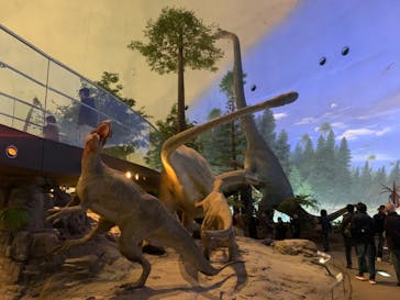 福井県立恐竜博物館に投稿された画像（2023/11/25）