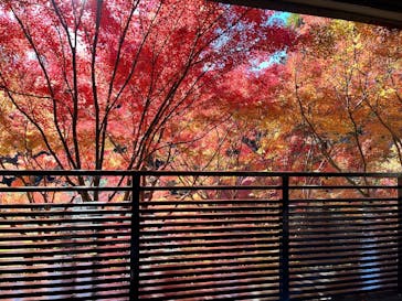 名古屋市東山動植物園に投稿された画像（2023/11/25）