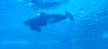 名古屋港水族館に投稿された画像（2023/11/25）