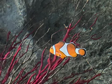 マクセル アクアパーク品川に投稿された画像（2023/11/25）