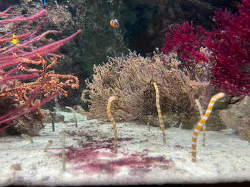 マクセル アクアパーク品川に投稿された画像（2023/11/25）