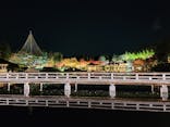 国営昭和記念公園 秋の夜散歩に投稿された画像（2023/11/25）