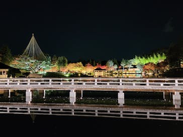 国営昭和記念公園 秋の夜散歩に投稿された画像（2023/11/25）