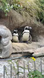 サンシャイン水族館に投稿された画像（2023/11/25）
