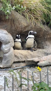 サンシャイン水族館に投稿された画像（2023/11/25）