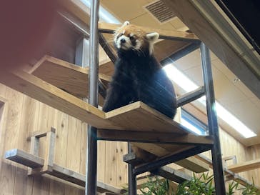 名古屋市東山動植物園に投稿された画像（2023/11/25）